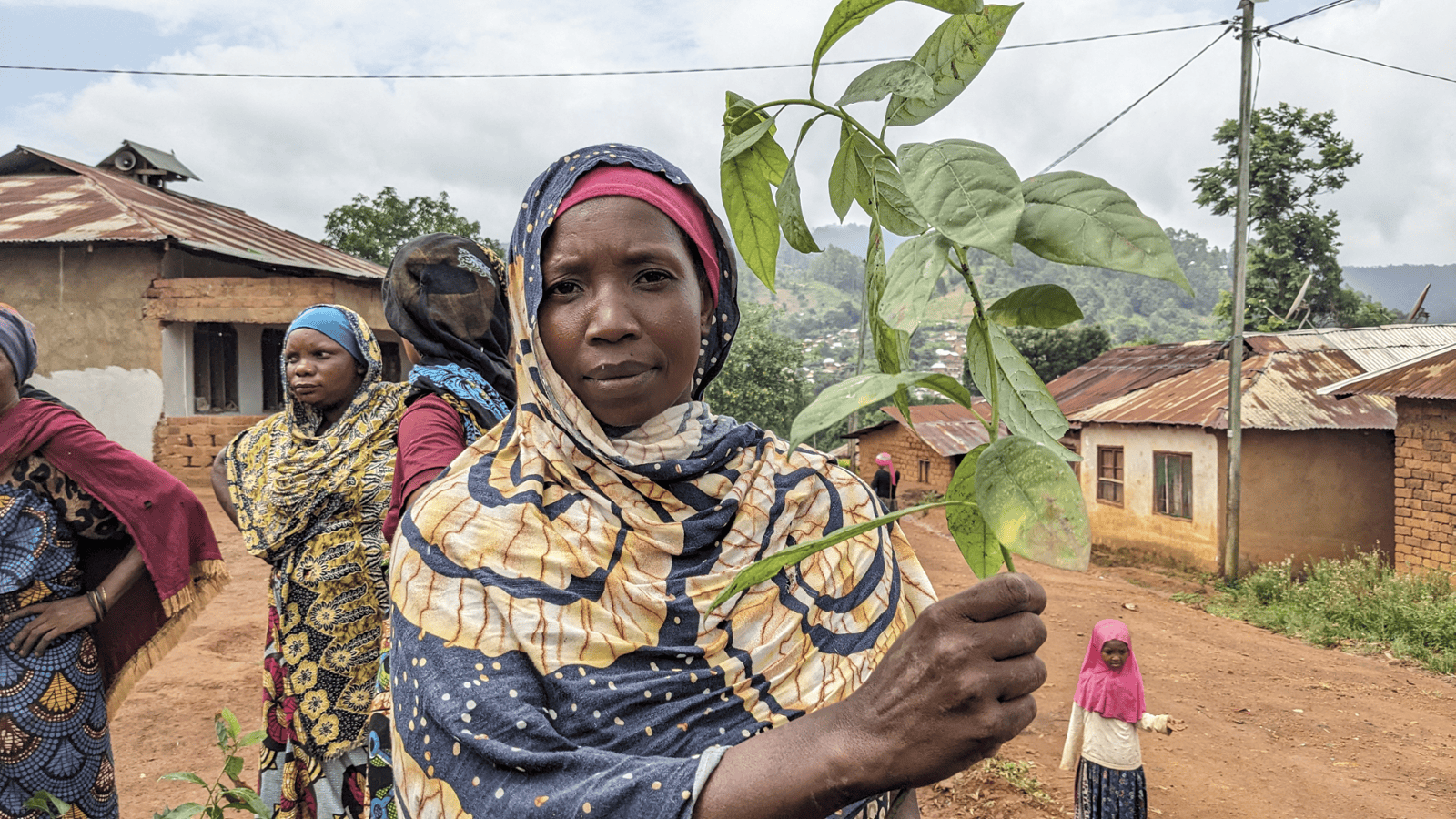 Mpale: Reducing Pressure on Forests, One Tree at a Time